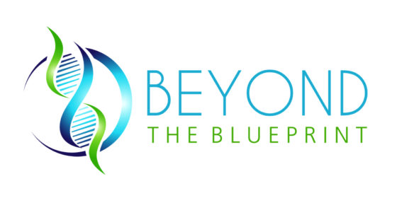 Beyond the Blueprint